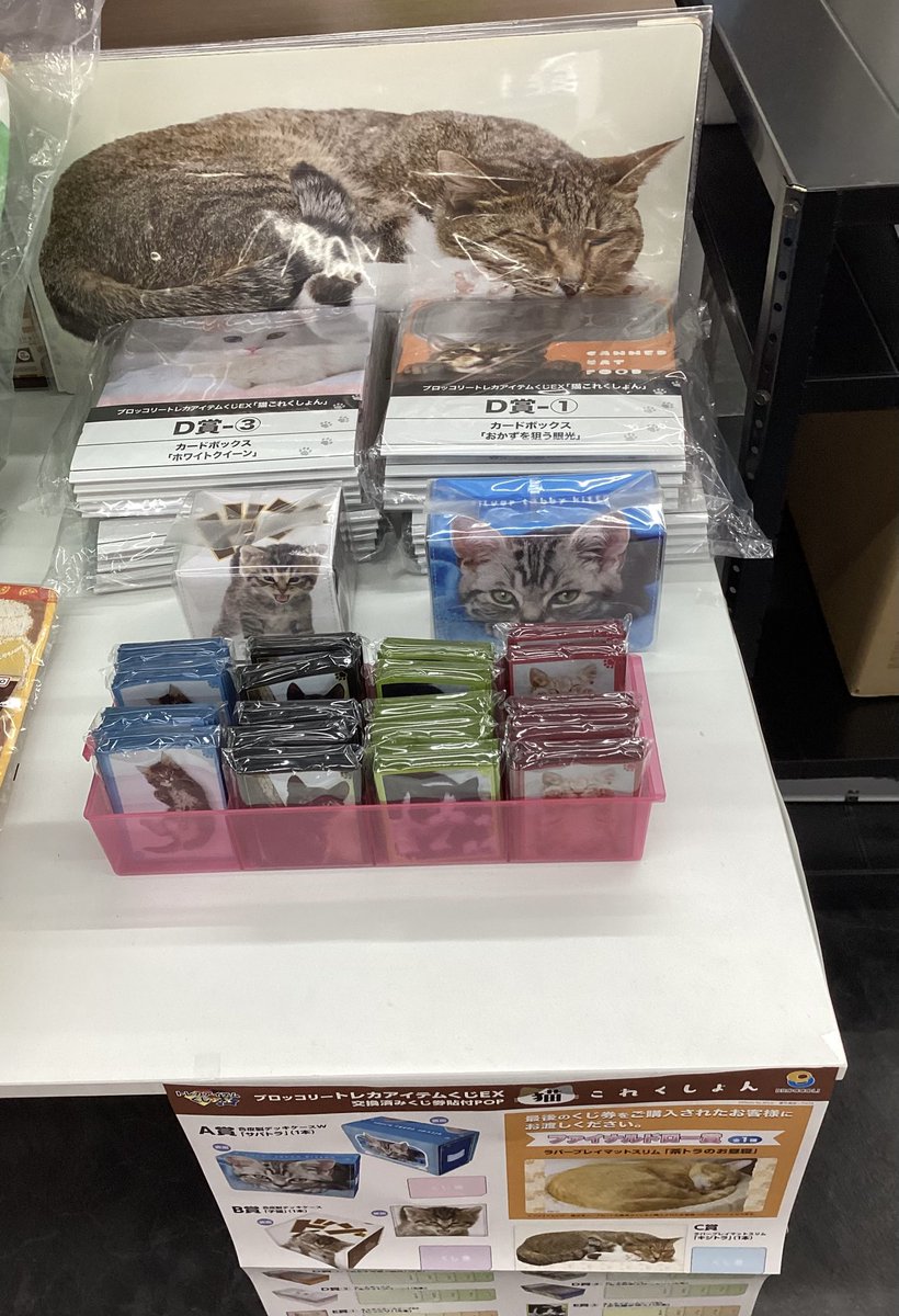 ブロッコリートレカアイテムくじ公式 (@toreca_kuji) / Posts / X