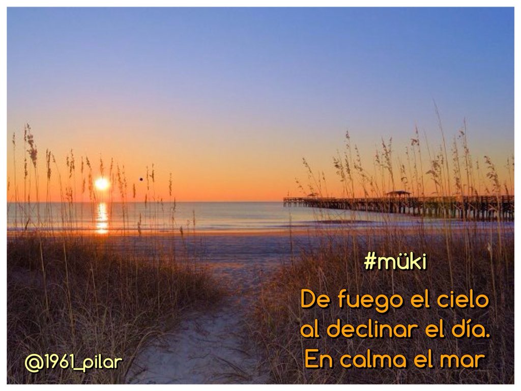 Un nuevo amanecer ¡Buenos días!

De fuego el cielo...

~müki~

#LYF15  #VAFlorDePiel