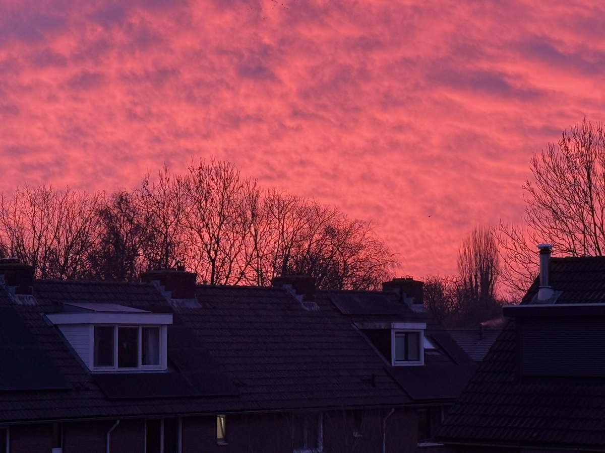 Dion Forster tweet media