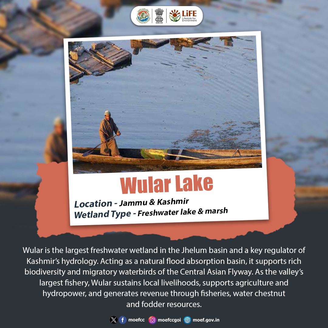 moefcc's tweet image. Wular Lake in Jammu &amp;amp; Kashmir, the largest freshwater wetland in the Jhelum basin, plays a vital role in flood regulation and supports rich biodiversity.

#Wetlands #Ramsar