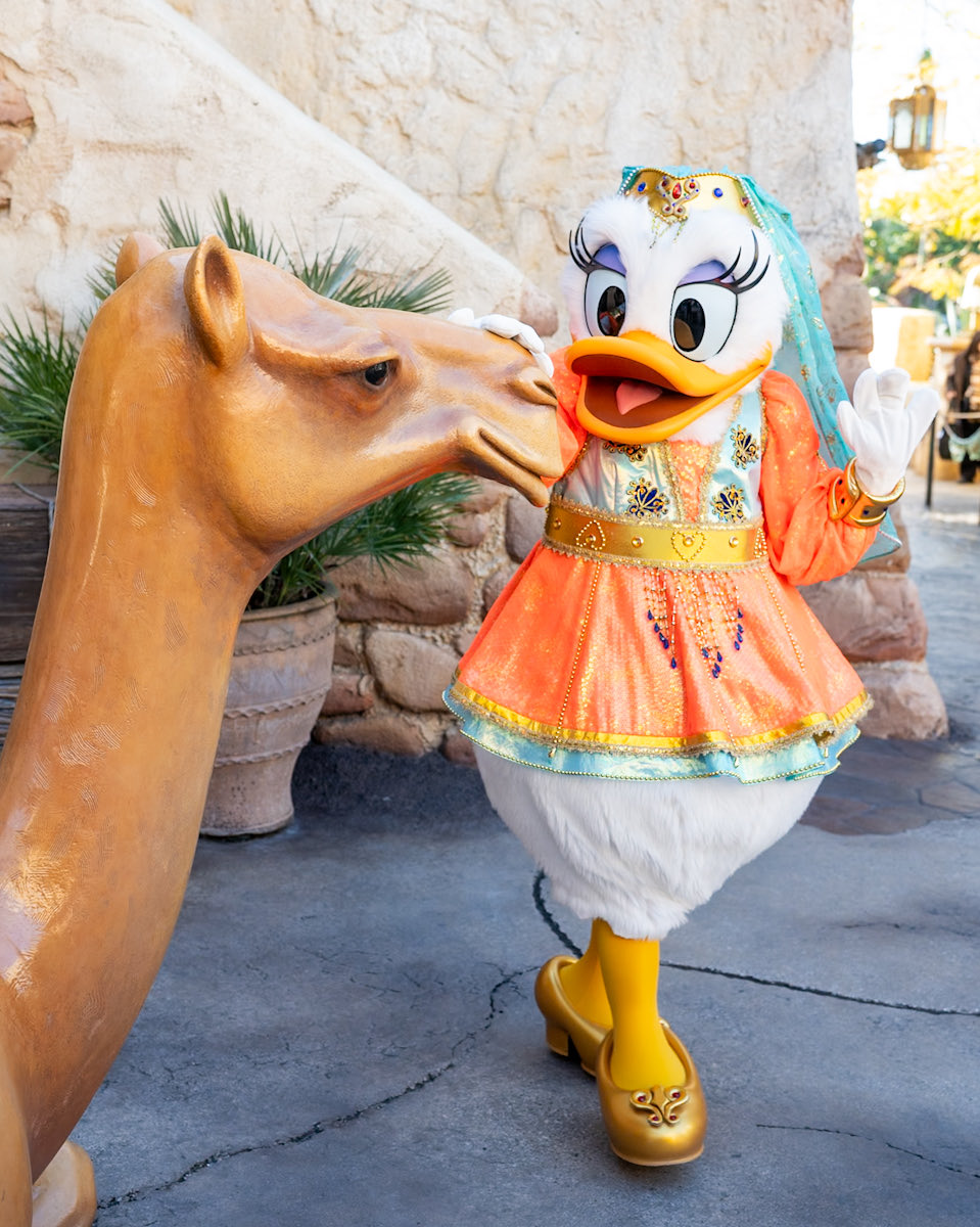 MezzoMikiD's tweet photo. 東京ディズニーシー
アラビアコスチュームのデイジーとグリーティング☆ https://t.co/leoTwyAbmn