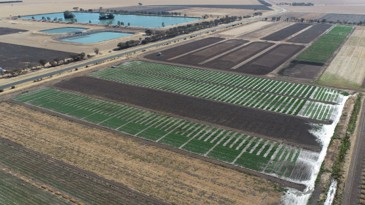 InterGrain tweet media