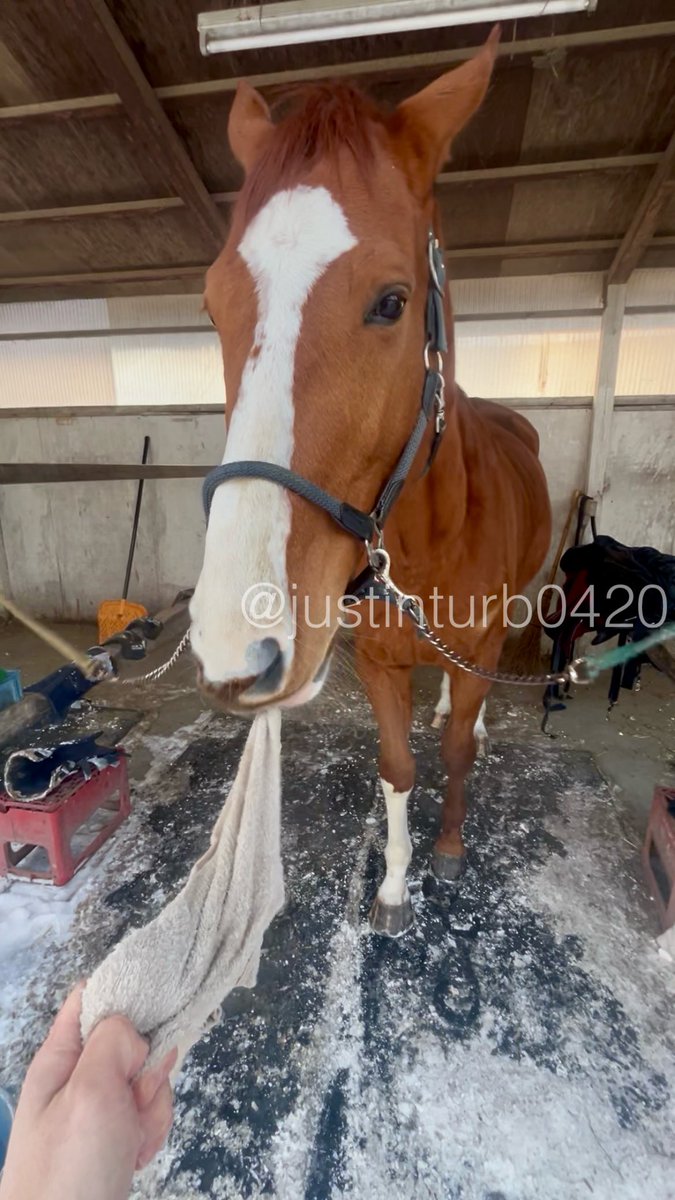 GOGOターボさん（ジャスティンターボ） (@justinturb0420) / Posts / X