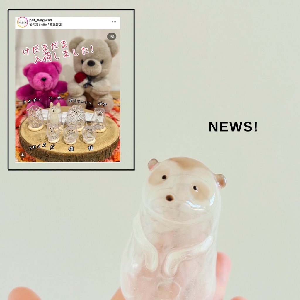 うちの子のけだまだま (@kedamastudio) / Posts / X