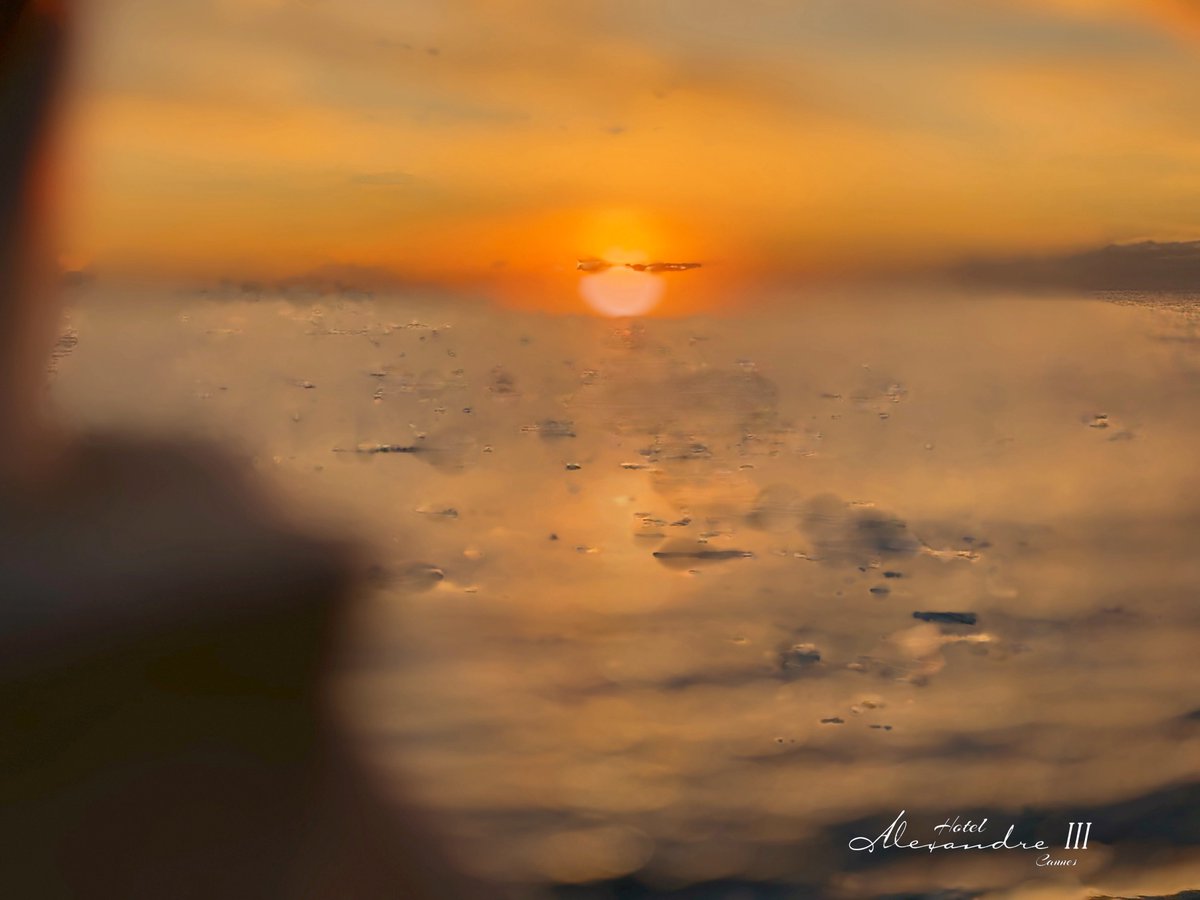 Hotel Alexandre III tweet media