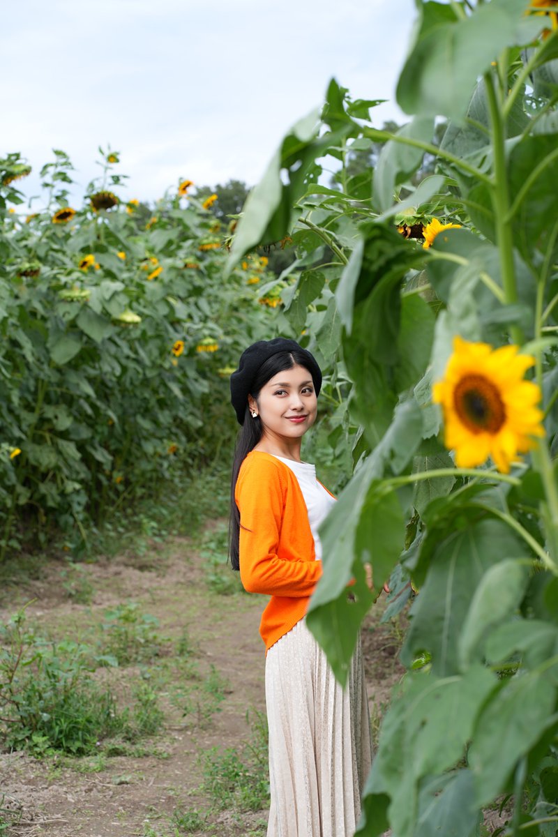 #今年は寒い
#向日葵
あまりにも寒いので夏の写真でも貼っときます