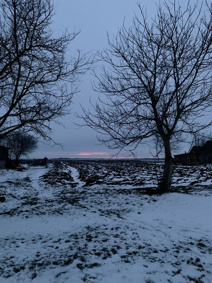 elemmiressoul's tweet image. peaceful.