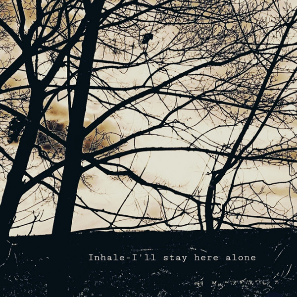 Depressive Illusions Records tweet media