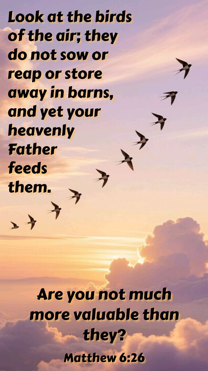 GuardTop1's tweet image. Tuesday Manna…Blessings 
🙏🏾✝️🩸🫶🏾🛐❤️💯🌈🎤