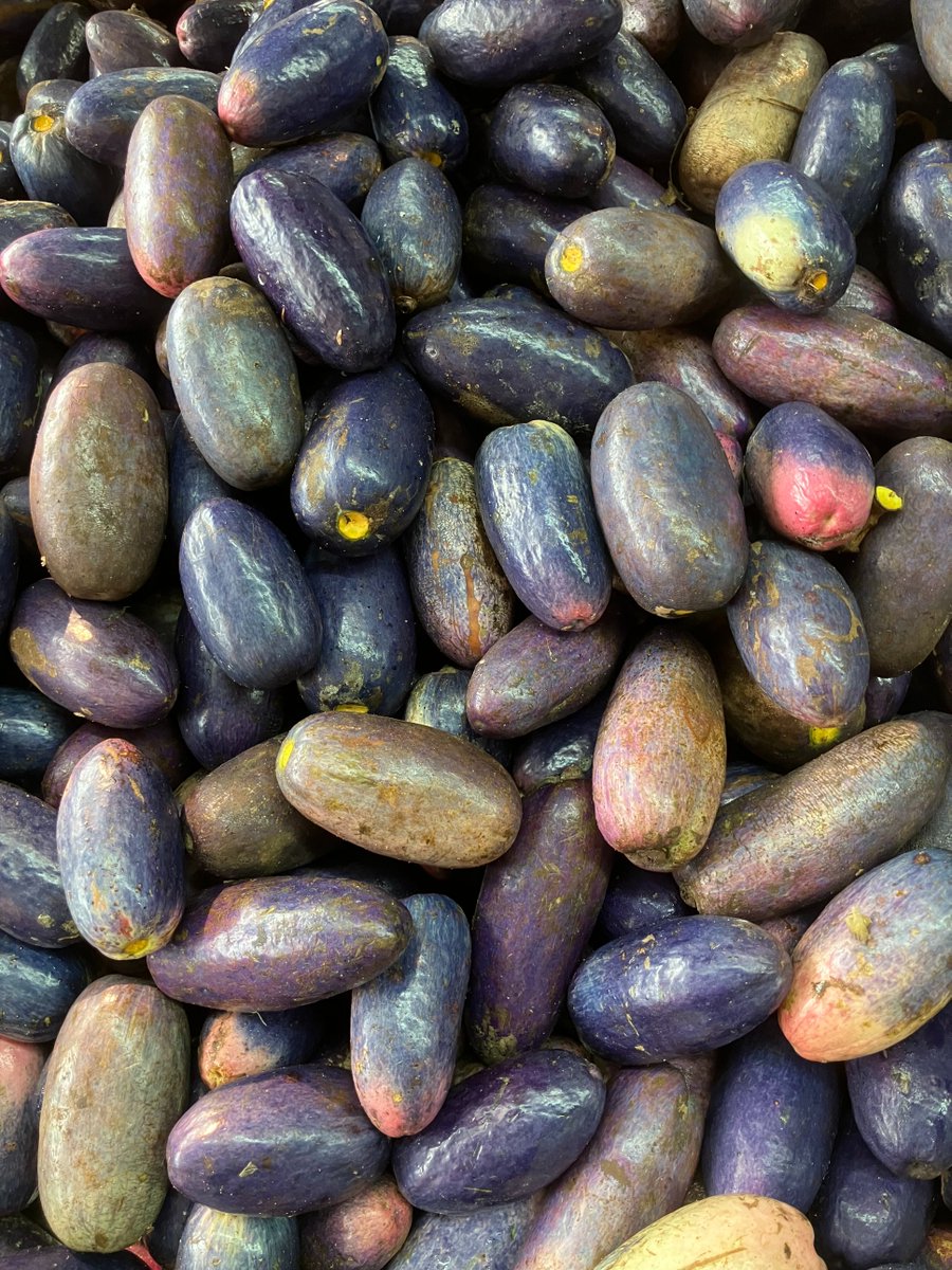 🇯🇵Itaru OGATA｜在外公館料理人｜🇨🇩RDC tweet media