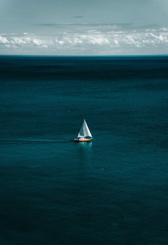 Ann_Aurore's tweet image. #Morbihan #Bretagne #France