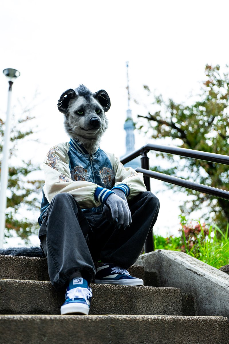 #shippocrafts
#SolitaCrocuta