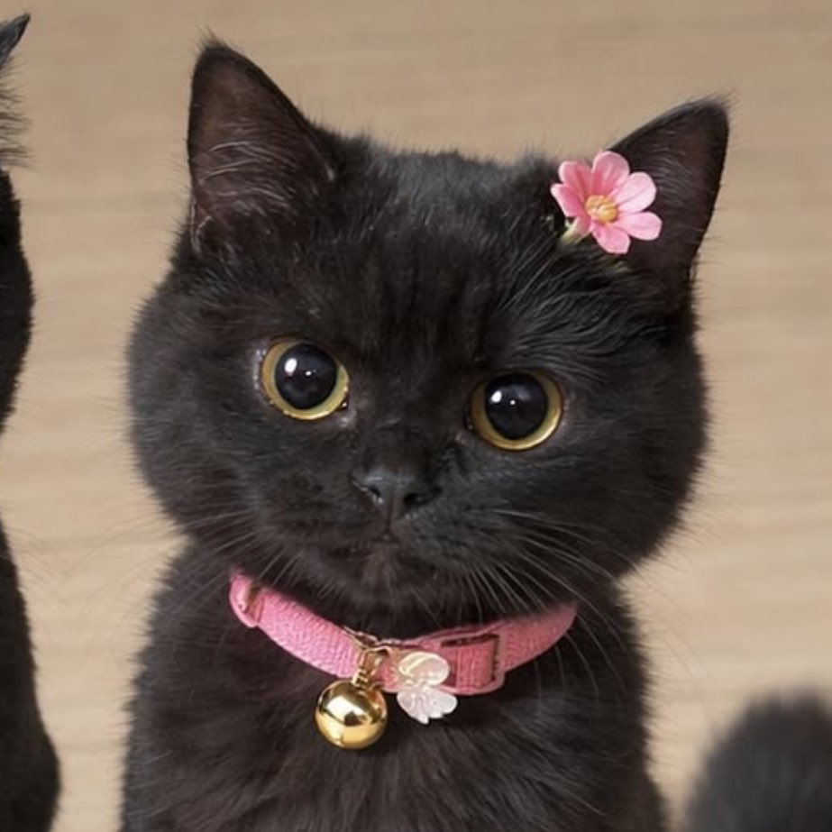 o13oboy's tweet image. #아씨노디