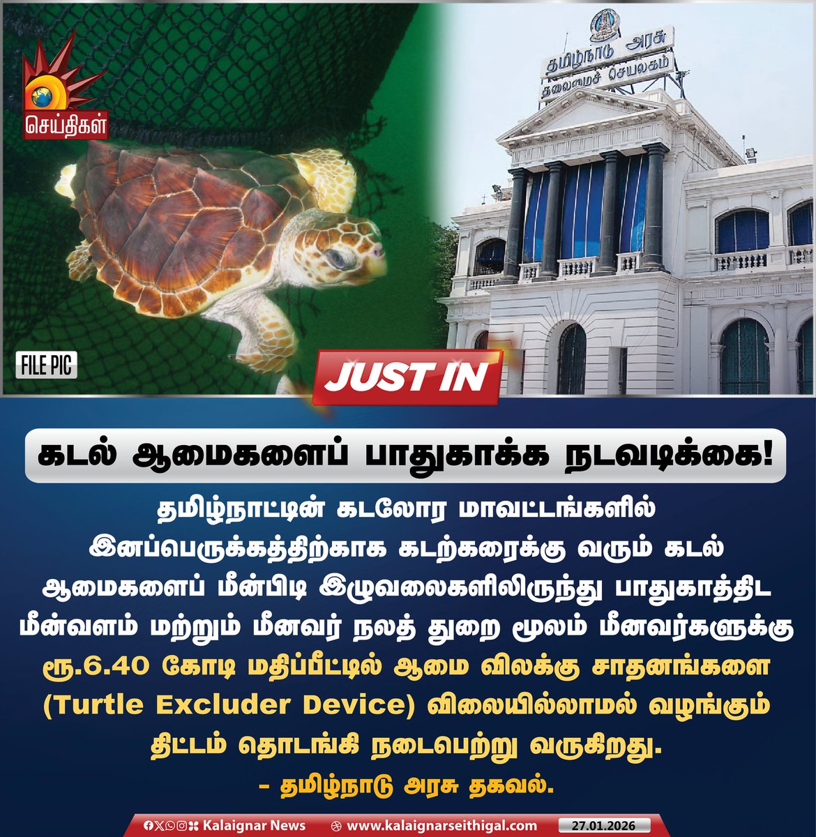 Kalaignarnews's tweet photo. கடல் ஆமைகளைப் பாதுகாக்க நடவடிக்கை!
#TamilNadu #Turtle #TurtleExcluderDevice #CMMKStalin #KalaignarSeithigal https://t.co/ic8Vth8jnx