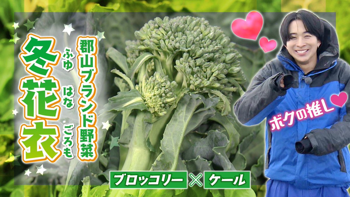 FANTASTICS from EXILE TRIBE tweet media