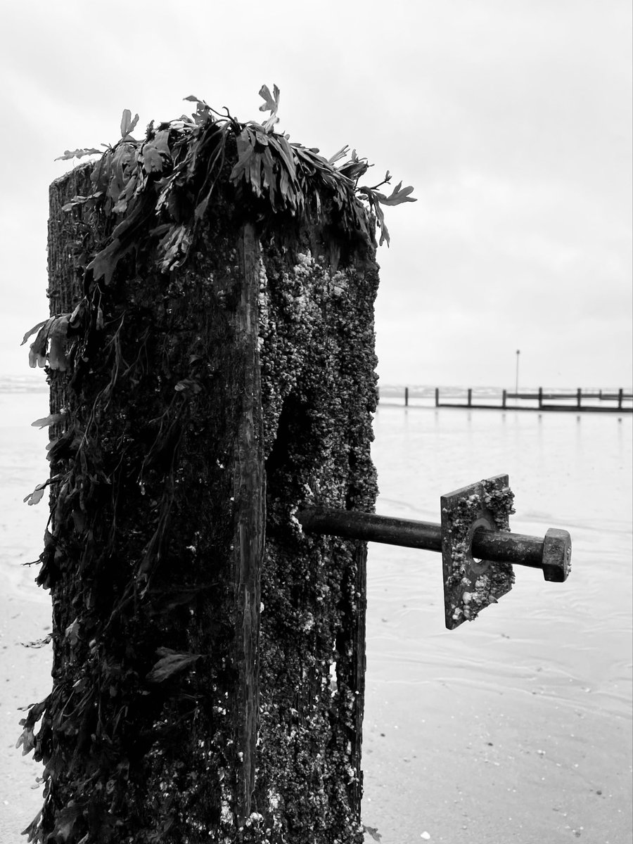 The power of the sea #power #sea #seadefences #wood #metal