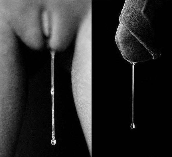 🔴 390k 🔞 tweet media