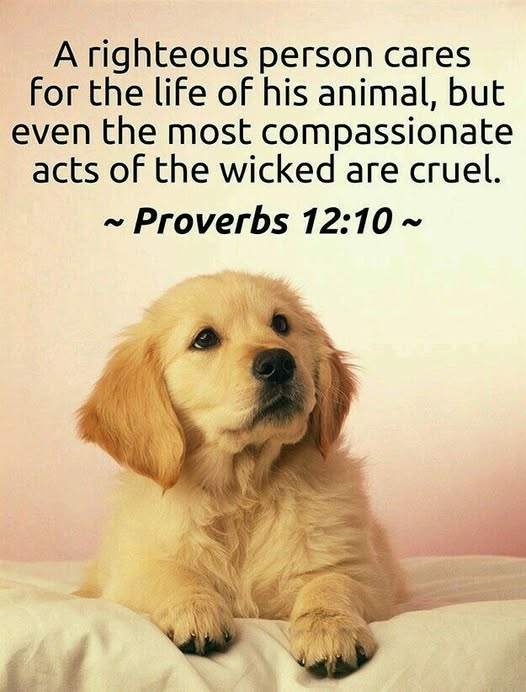 Bernadette99797's tweet photo. Trust JESUS
#bibleverseoftheday #ScriptureInspiration #JesusIsGod #jesuslovesyou #jesussaves #JesusIsTheWayTheTruthAndTheLife #JesusIsComingBack https://t.co/jTsJcZdFGT