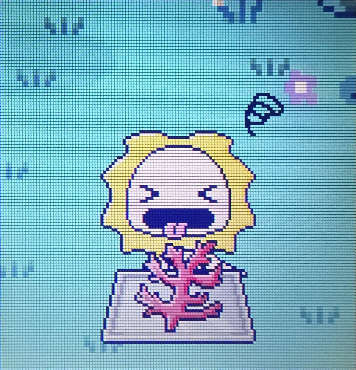 好き嫌いは虫◯わかめ✕