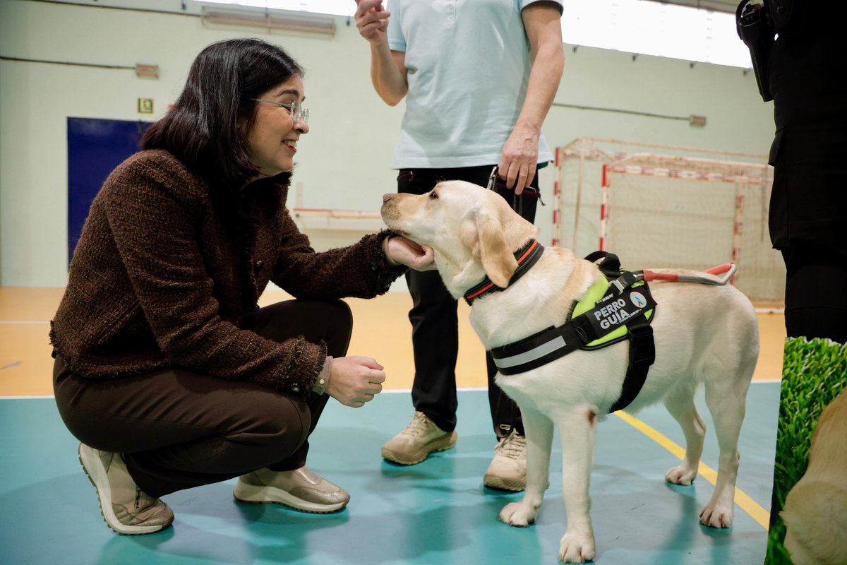 Carolina Darias tweet media