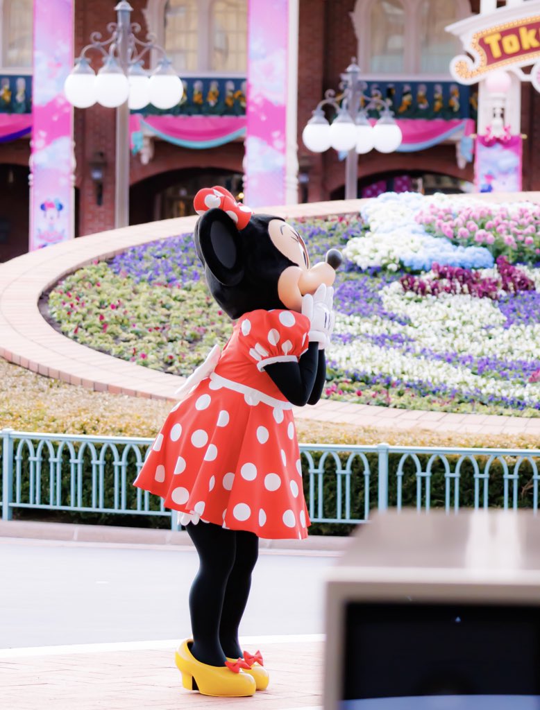 amane🎀 tweet media