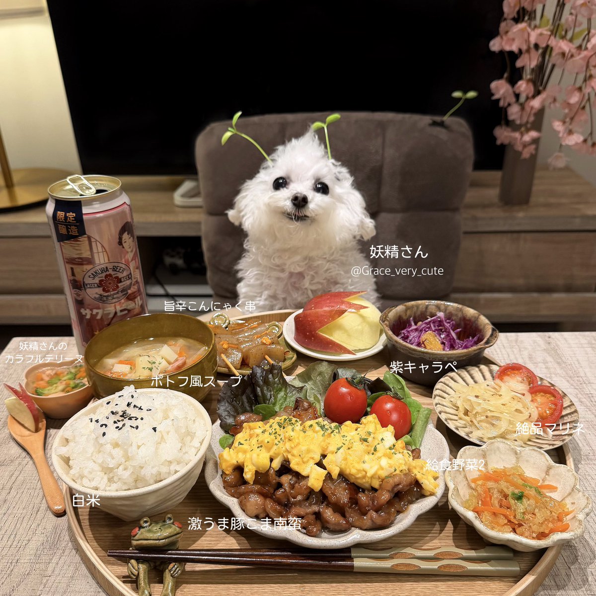 Grace_very_cute's tweet image. #犬のいる暮らし 🐶🌱