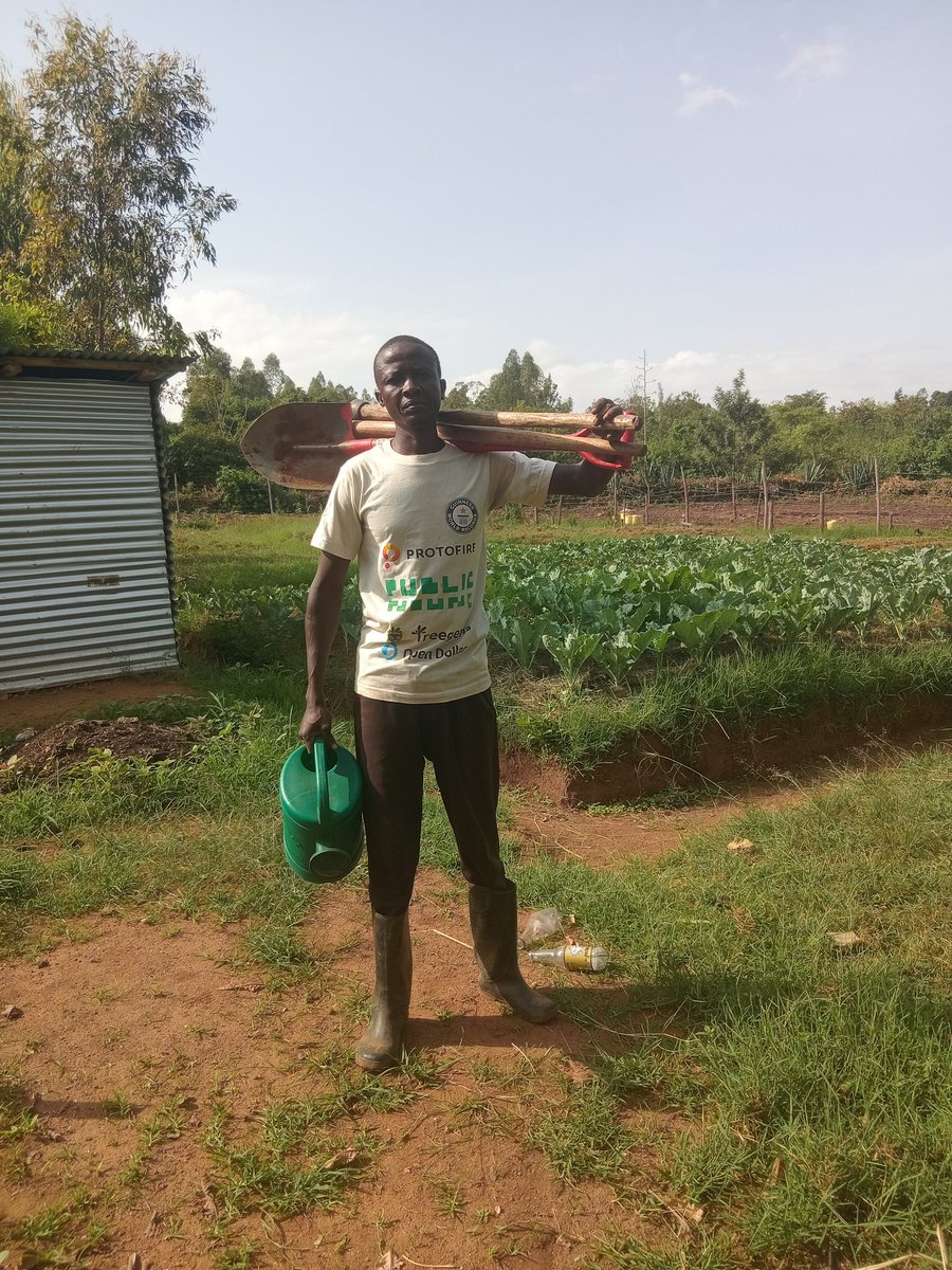 Kawagumba's tweet image. Hello  Treegen  am back don't give up  touch 1 Tree plant 10 per day very important  important.@Touchtree.#Treegen.@Letsgrow.@climate_program .#refi.@Giveth.#TGN.@MonthlyEarthDay