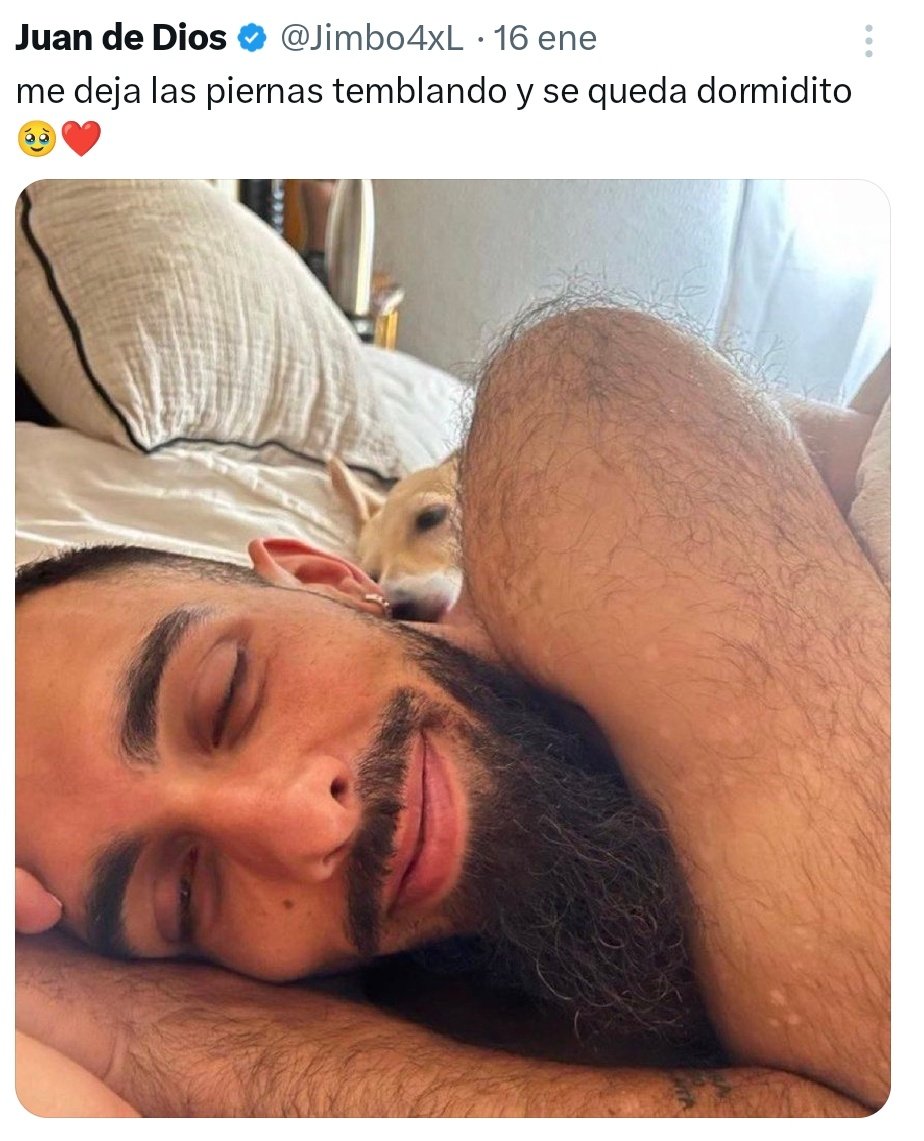 Alarcón tweet media