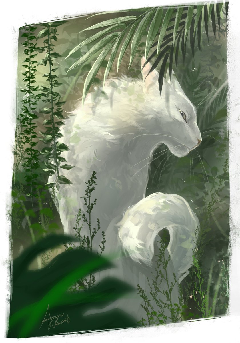 猫ゴコロ🇯🇵 (@reruririreruro) / Posts / X