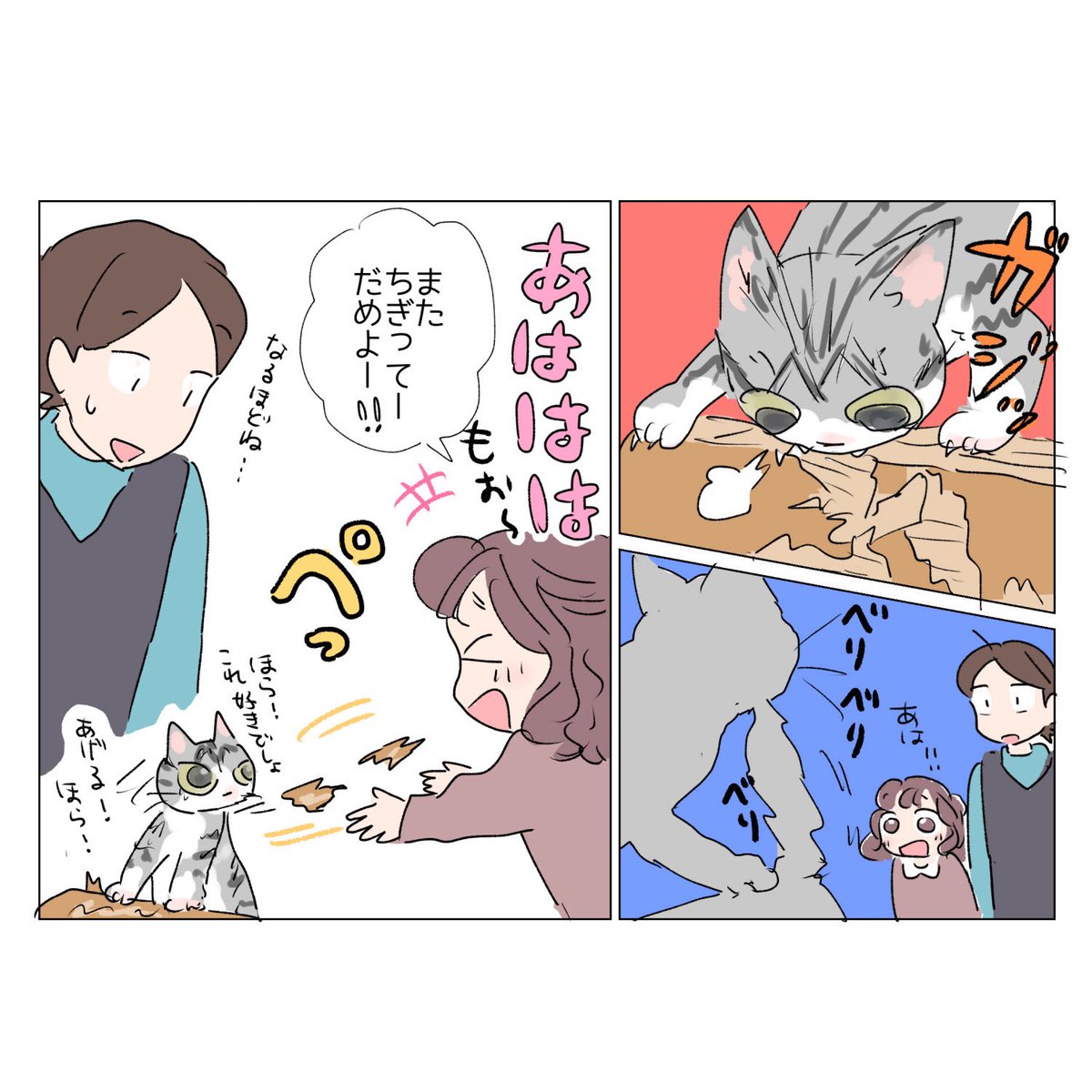 Post by さざなみ🌟 on X: 日常🐈