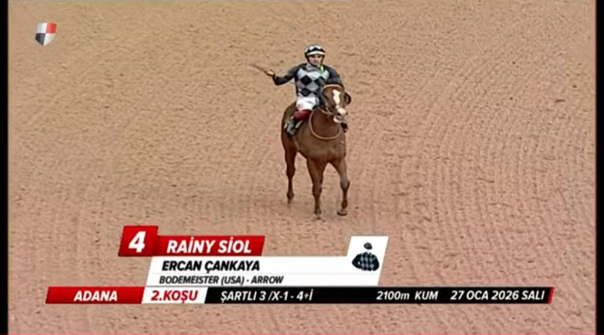 En az sahibi kadar seviyorum bu atı✨
#RAİNY #SİOL bankomuz bizi üzmedi.