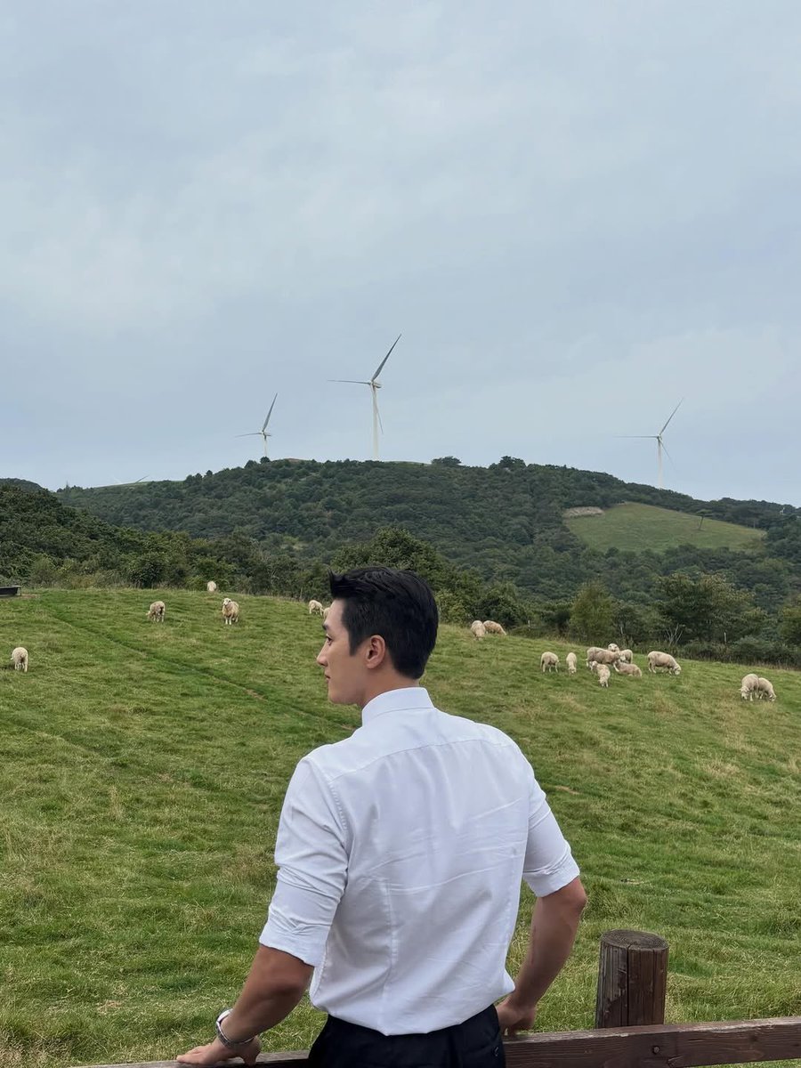 이건 또 씨~발 뭐죠?