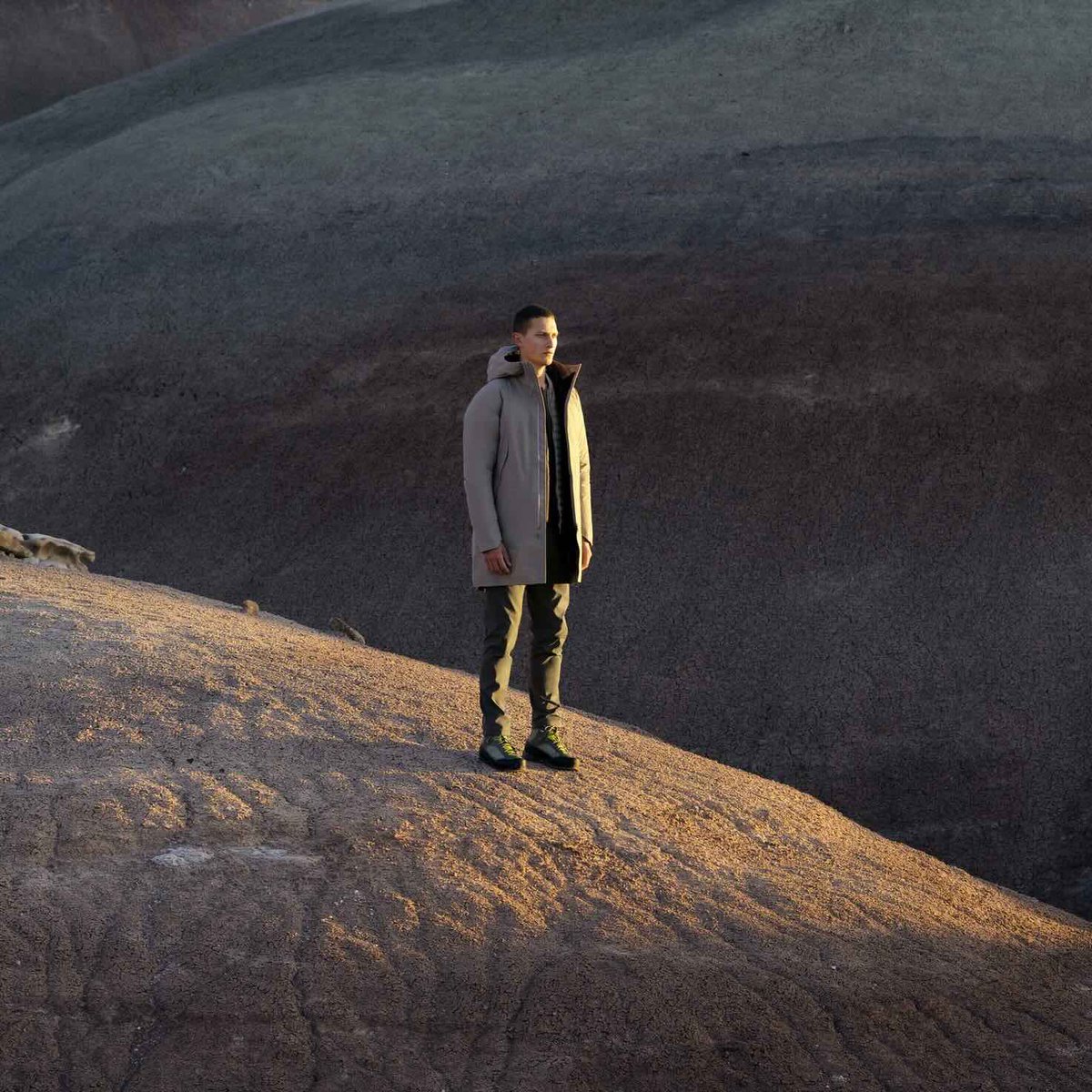 Marek Kriz tweet media