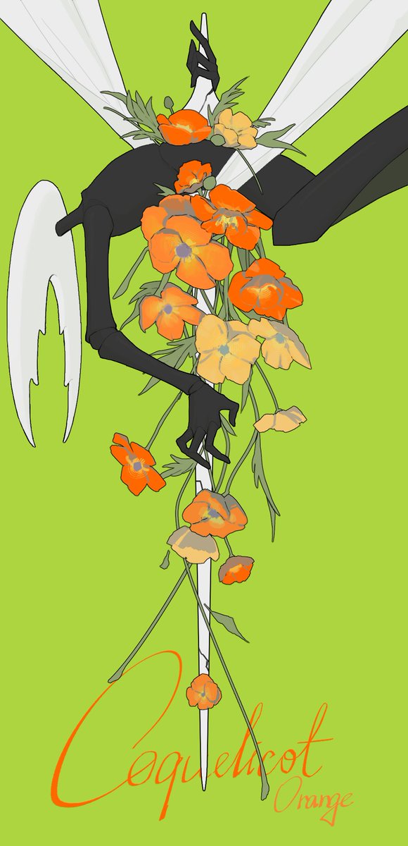 Papaver rhoeas
#hollowknight #hollowknightfanart