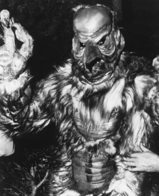 #お前らが好きなマイナー怪獣挙げてけ見た人強
アウター・リミッツより宇宙怪獣メガソイド