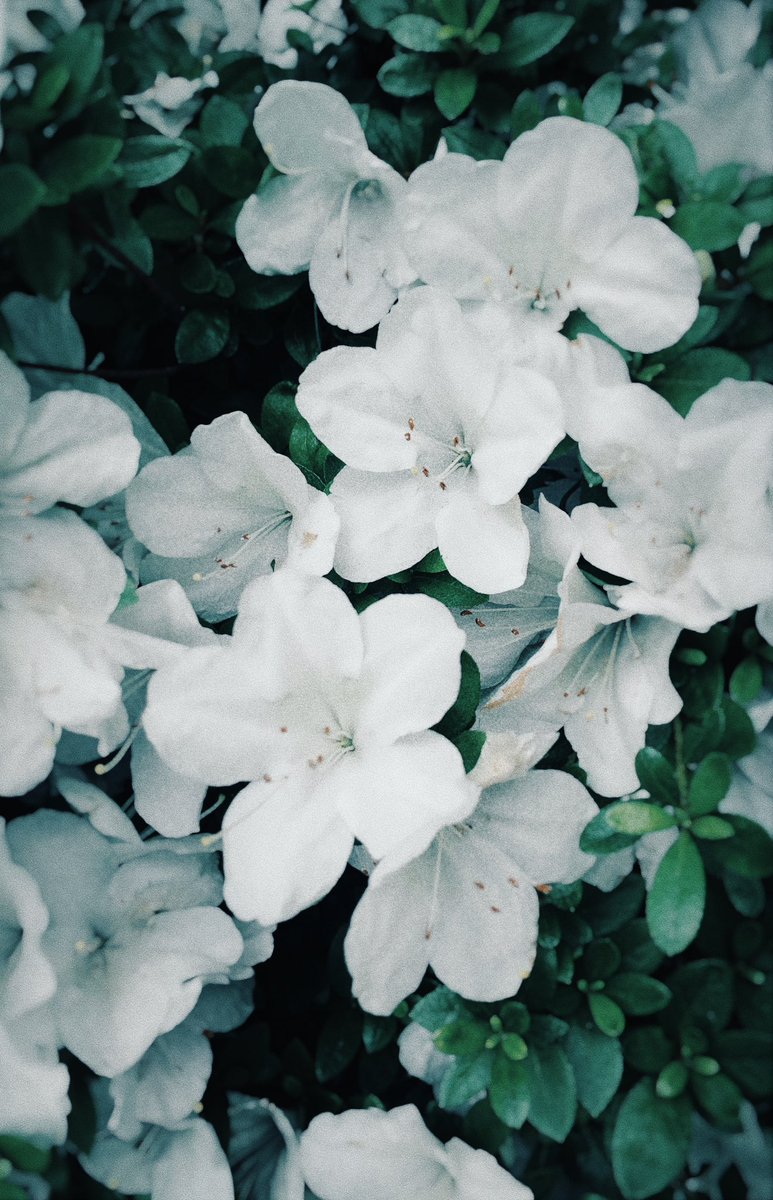 annuiiunna's tweet photo. https://t.co/edoGtkyj1d