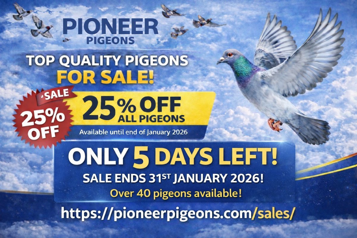 🕊️ Elite Pigeons. Limited Time.

For a few more days only, we’re offering 25% OFF all pigeons at Pioneer Pigeons.

⏳ ONLY 5 DAYS LEFT

📅 Sale ends 31st January 2026

🧬 40+ pigeons available from carefully selected, performance-focused bloodlines

Once these birds are gone,