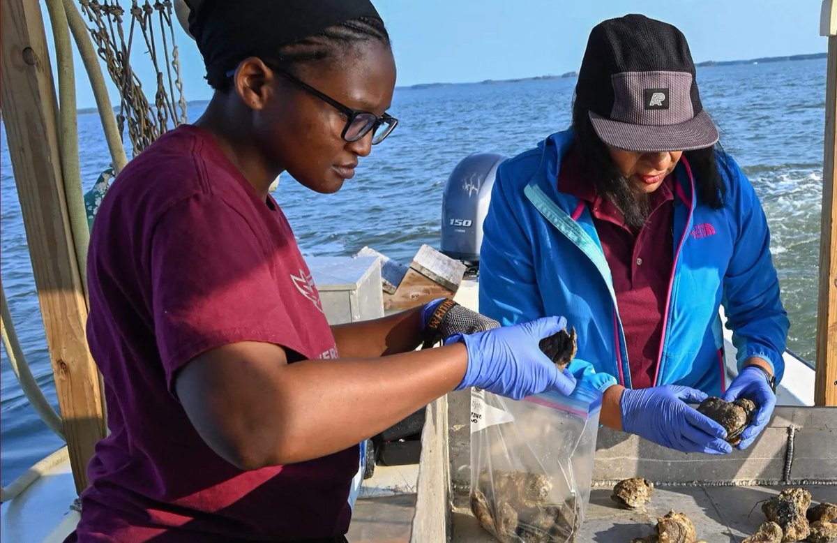 UMES SANS tweet media