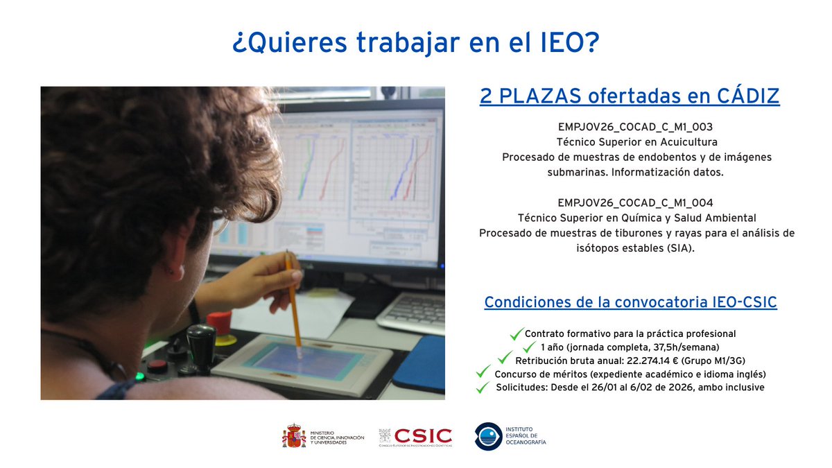 IEO Cádiz tweet media