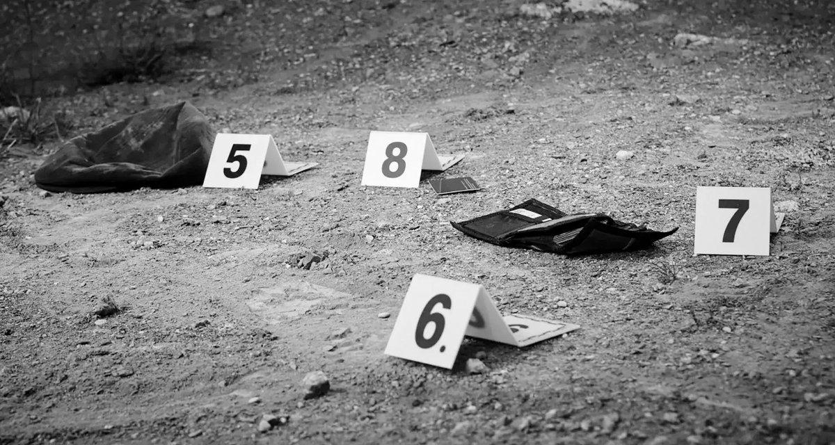 Letras Breves tweet media