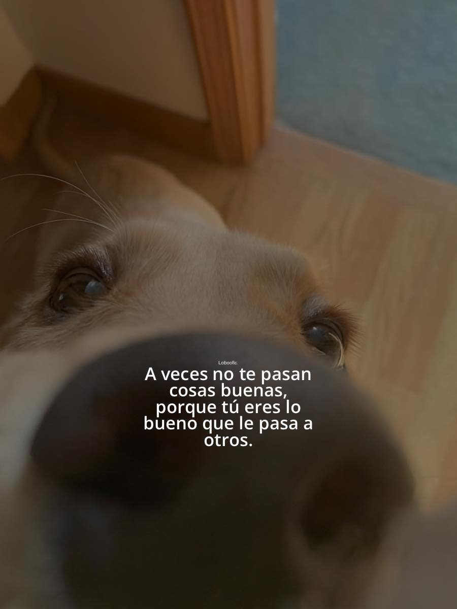 BANDIDOS (@bandidosfrasess) on Twitter photo 