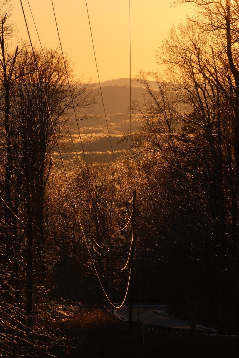 Electric Cooperatives of South Carolina tweet media