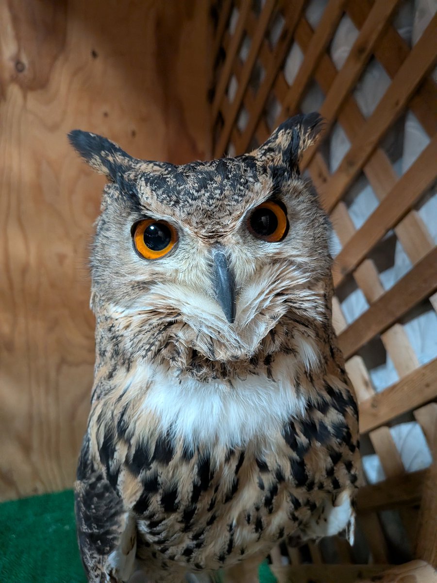 ただいま〜。ご飯持ってくるから、もう少し待っててね