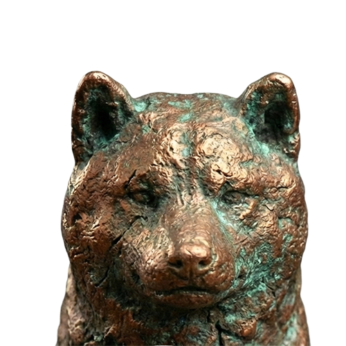 Carolus Bonque🧠 tweet media