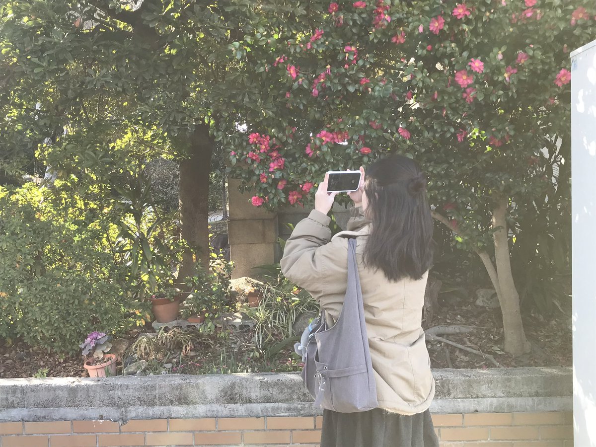 koiiovv's tweet photo. https://t.co/VgDIFOCq98