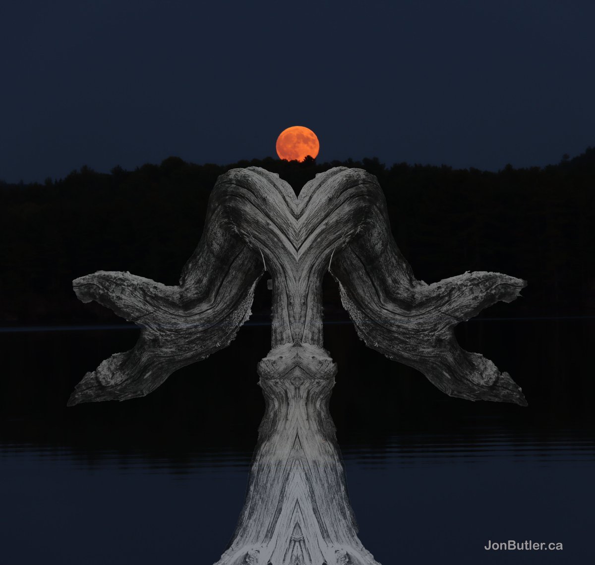 ButlerPhotos's tweet image. 'Serpent Moon'
Photomontage created from personal photographs.
Not from Ai.
Visit my Youtube page for photomontage videos with ambient music by Steve Raizen aka Frozen Lonesome   -&amp;gt;   youtube.com/channel/UCMYsj…     #surreal #art #photography