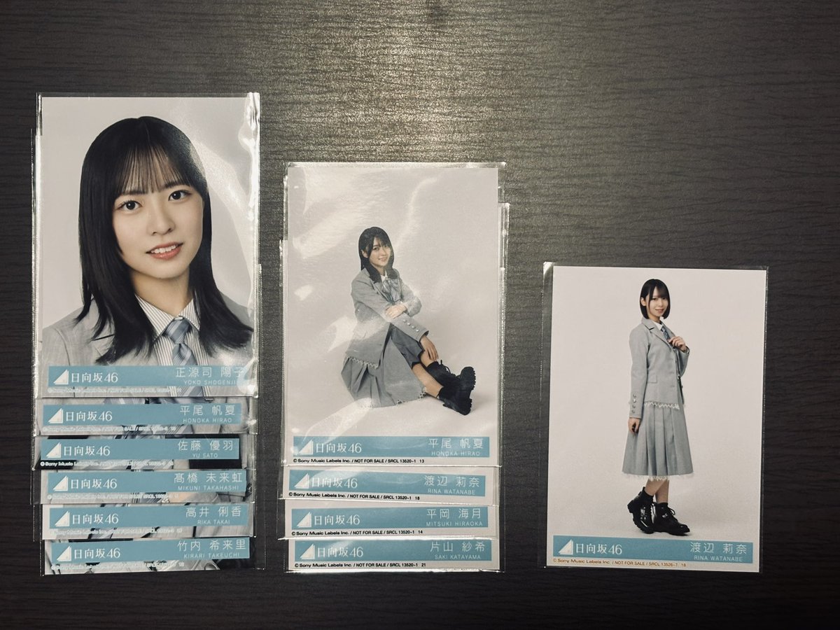 日向坂46 生写真 ヒキ 日向坂46 生写真 トレード トレ 封入 クリフハンガー 提供:画像 希望