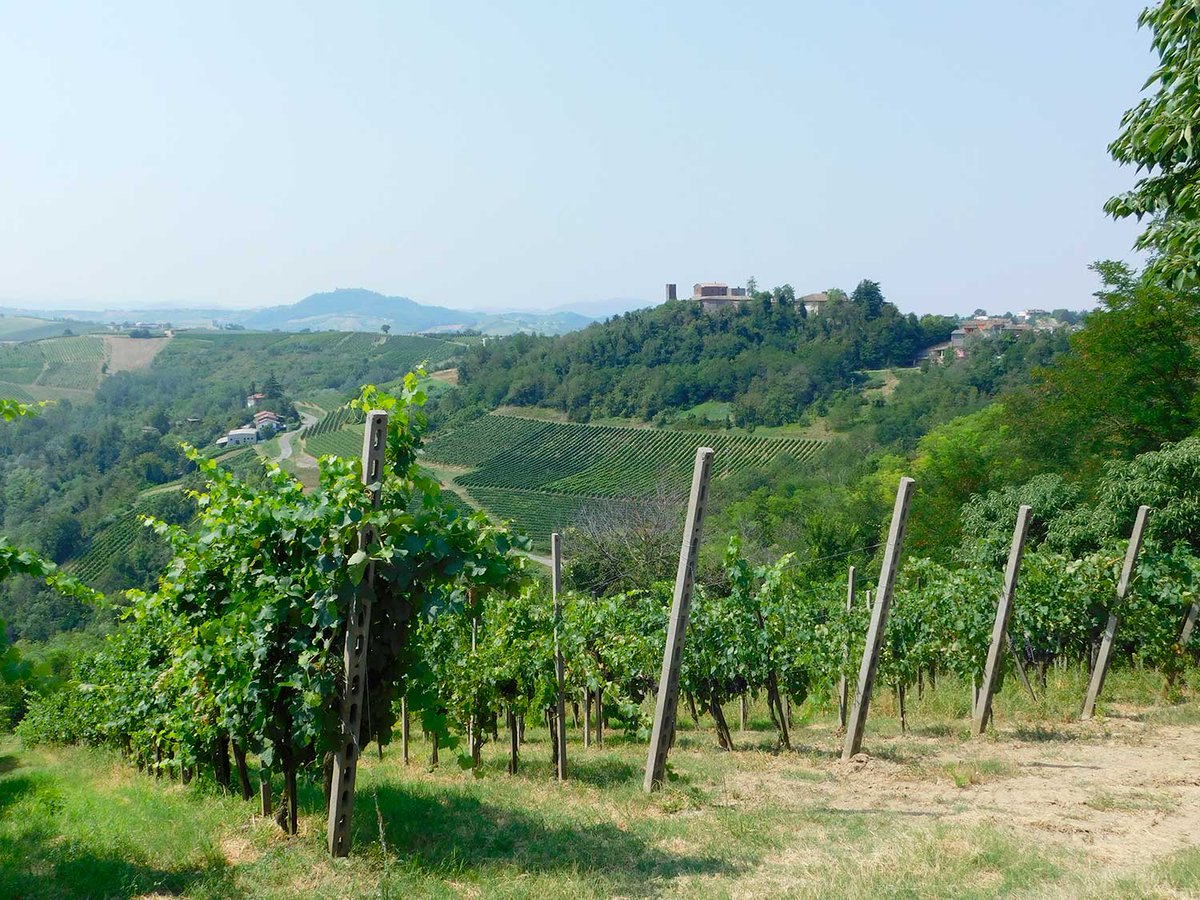 Il <a href="/ConsLomb/">CR Lombardia</a> ha approvato all’unanimità i provvedimenti che consentiranno al Comune di #Lirio (PV) di essere incorporato in quello di #MontaltoPavese. (PV).
#pavia #provinciadipavia #oltrepopavese

Leggi su #LombardiaQuotidiano ⬇️
t.ly/p05rH