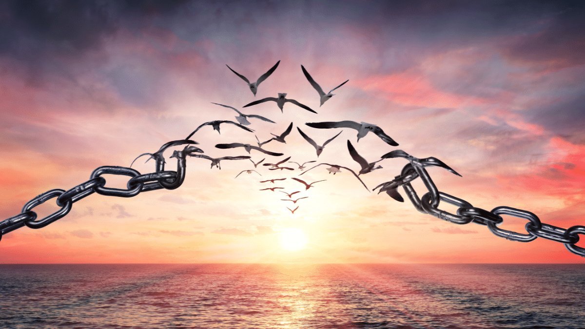 une image vaut mille mots