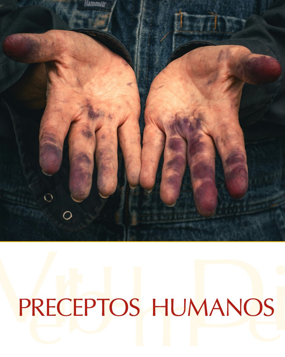 #10DeFebrero ¡Buenos días! En este Martes de la V semana del Tiempo ordinario compartimos el #EvangelioDeHoy según san Marcos 7, 1-13. Puedes leerlo aquí: vaticannews.va/es/evangelio-d…